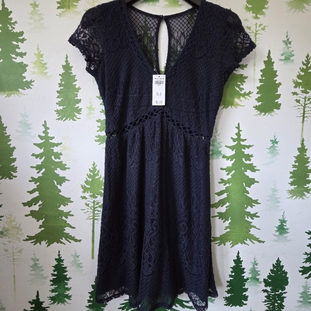 Navy Blue Lace Hollster Dress